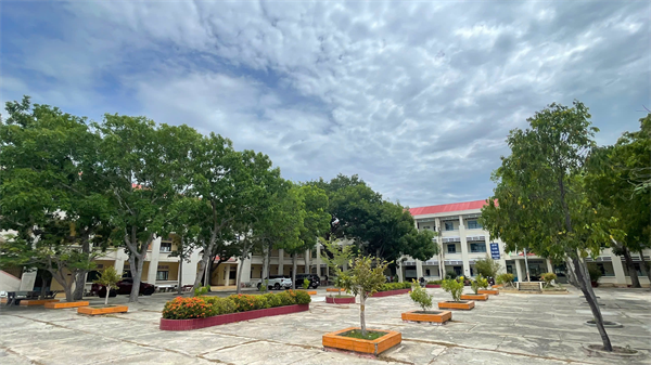 Hình ảnh tại trường13