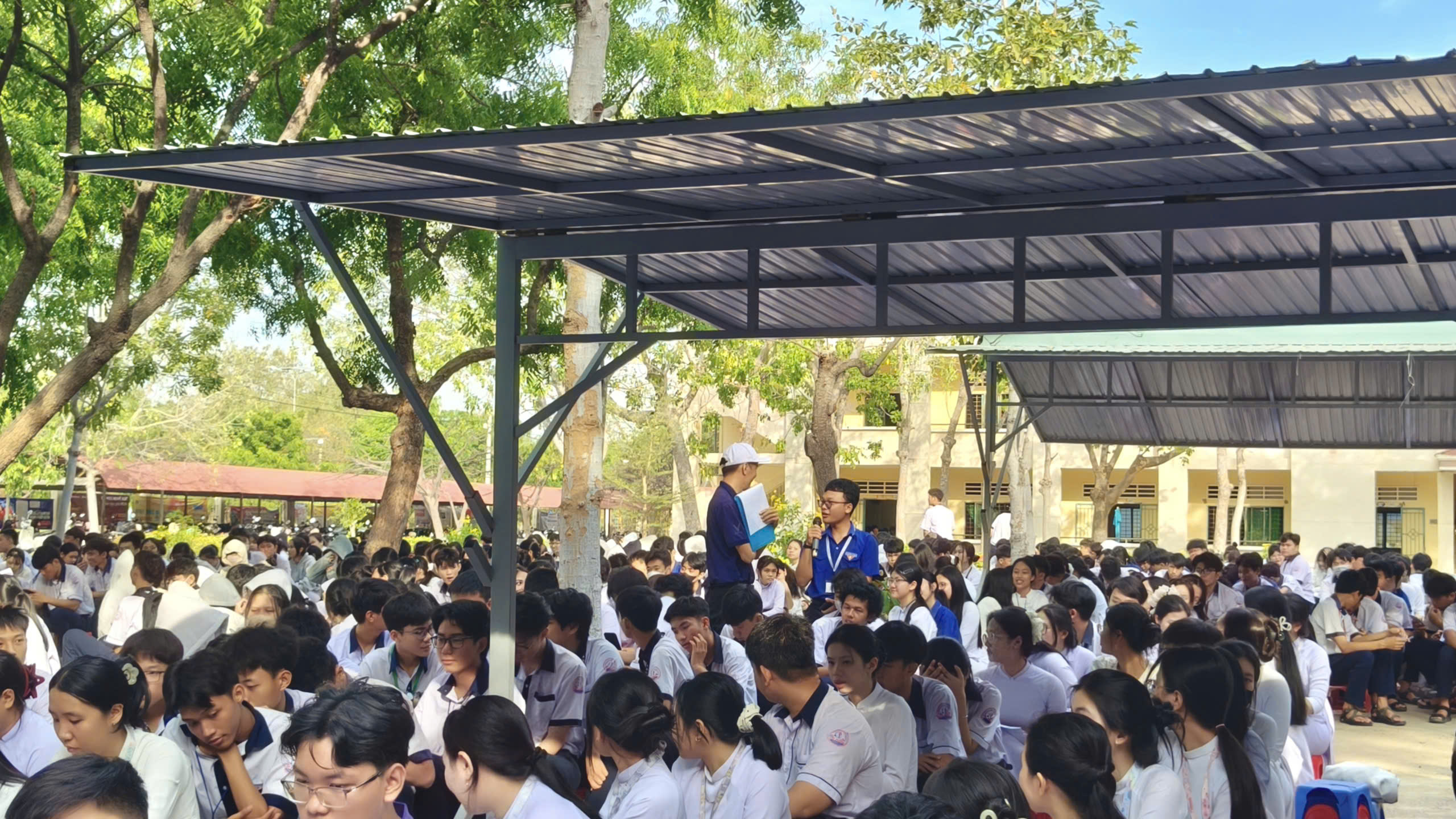 phu xanh truong hoc THPT Tuy Phong 02