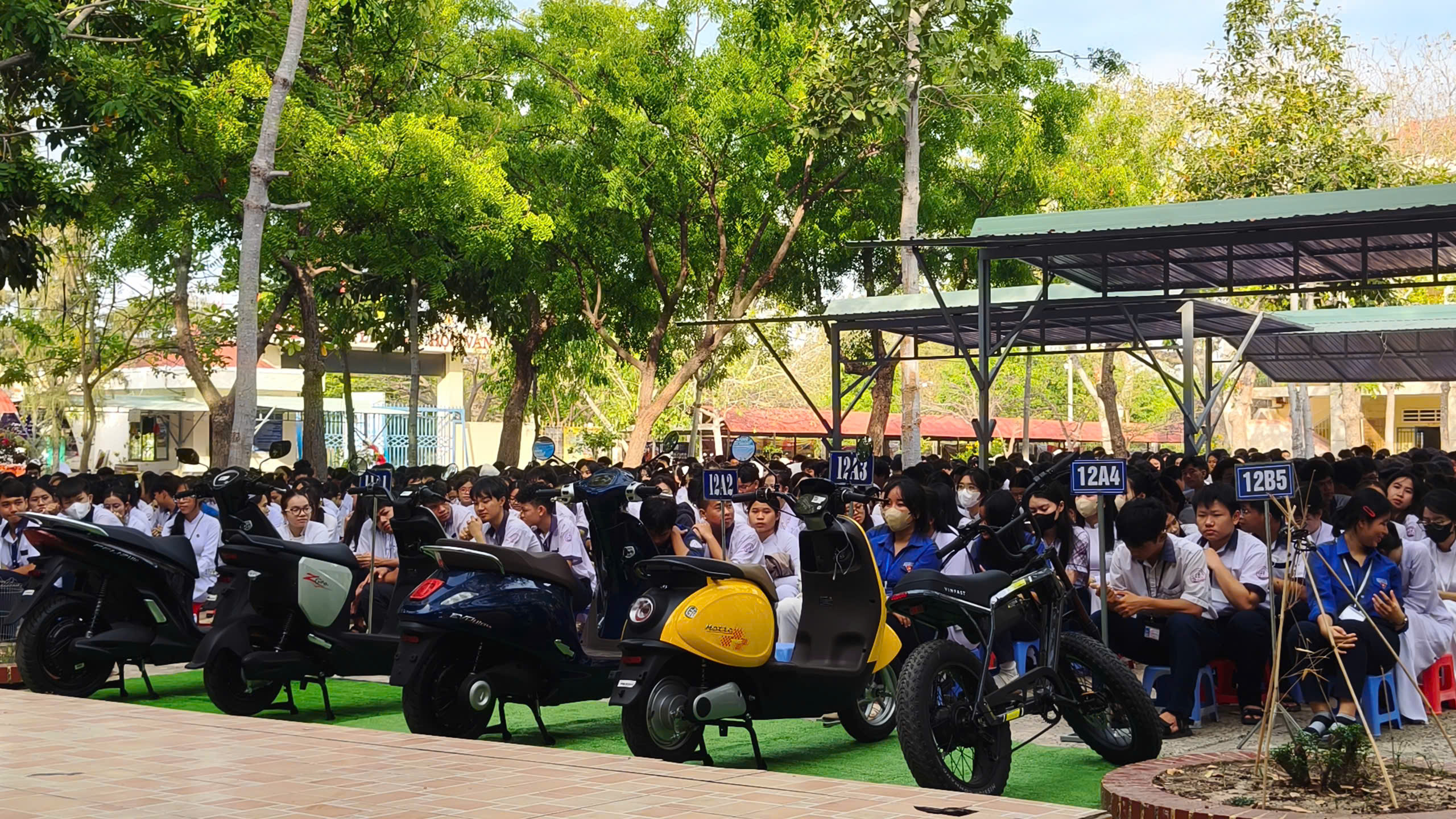 phu xanh truong hoc THPT Tuy Phong 04
