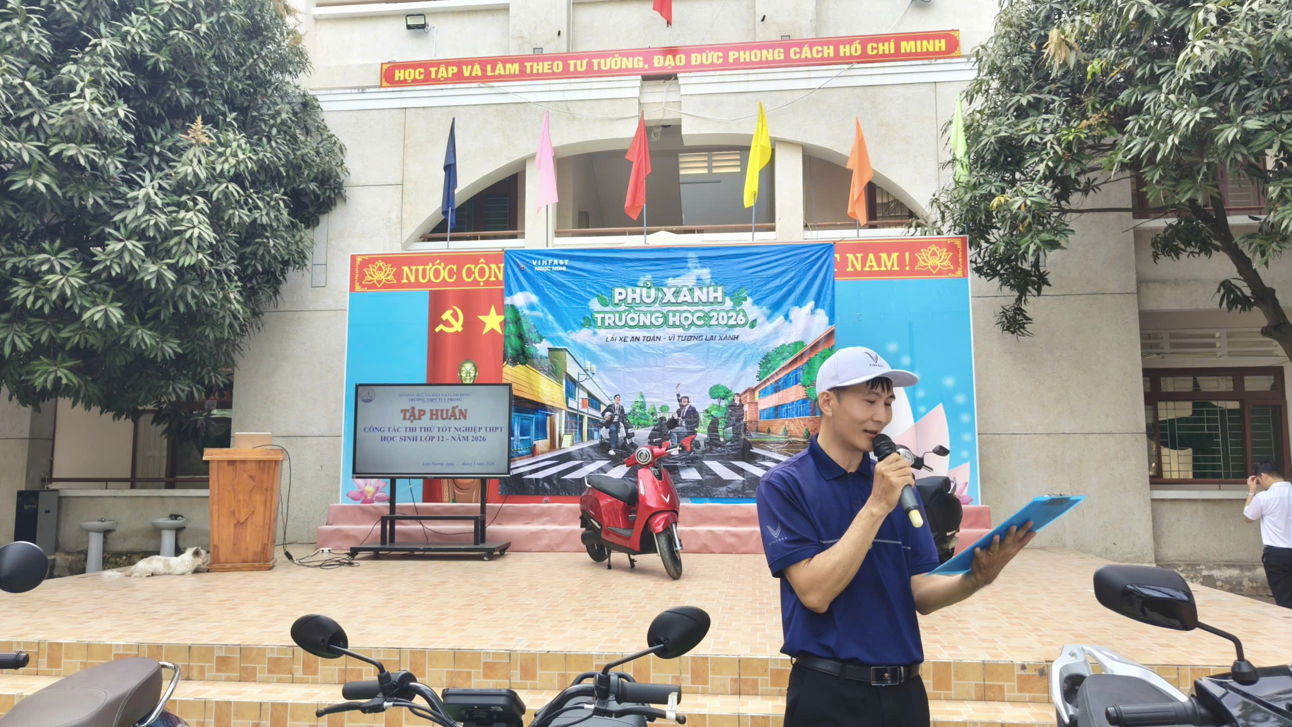 phu xanh truong hoc THPT Tuy Phong 11